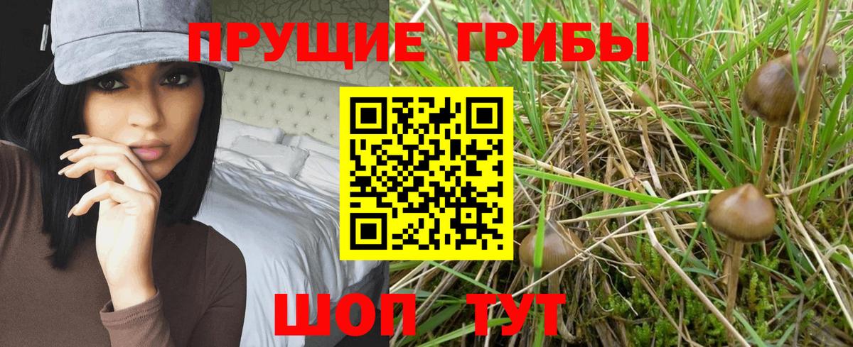 Псилоцибиновые грибы Magic Shrooms Кузнецк