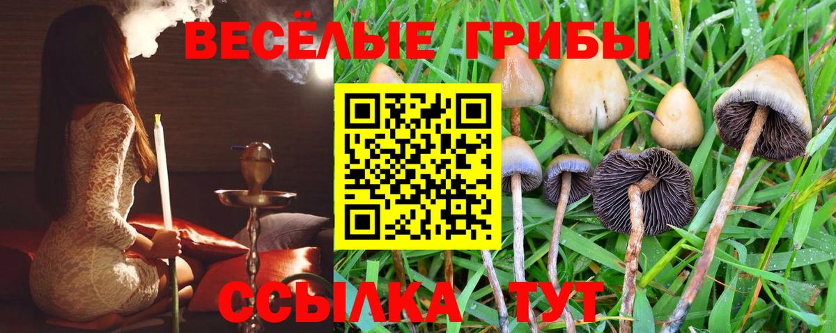 Псилоцибиновые грибы Psilocybe  Вход с VPN  Галлюциногенные грибы мухоморы  Кузнецк 